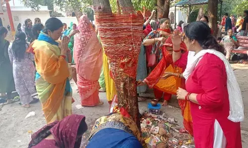 आंवले की पूजा कर महिलाओं ने मनाई अक्षय नवमीं
