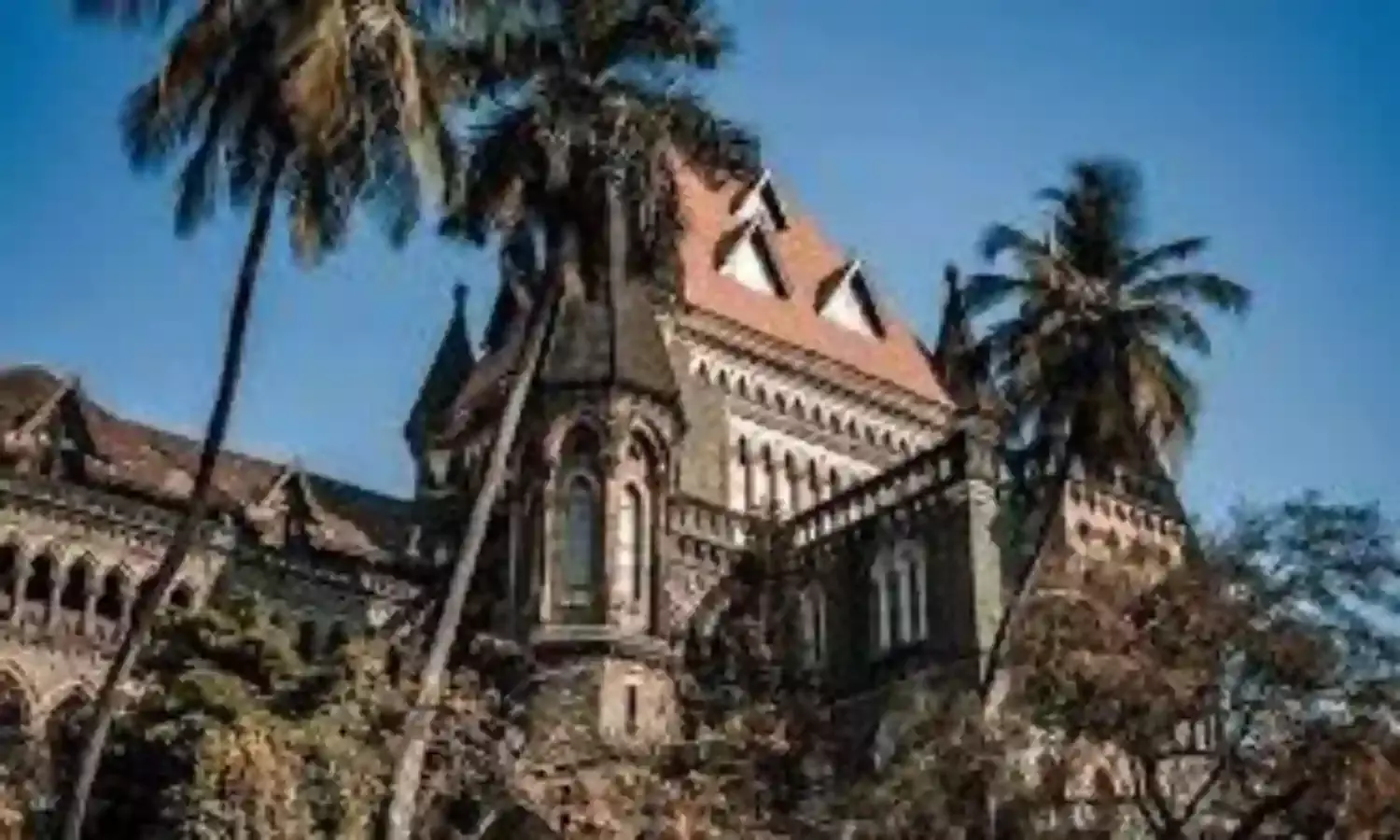 बॉम्बे हाईकोर्ट ने क्रिकेट मैचों के लिए पुलिस सुरक्षा शुल्क कम करने के औचित्य पर उठाए सवाल