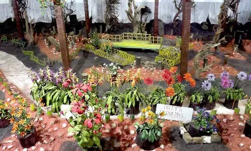 असली फूलों की जगह बनाया 6 करोड़ मीटर धागे के फूलों का बगीचा, 12 साल की लगी मेहनत, सुंदर इतना कि भरोसा ही ना हो आंखों पर