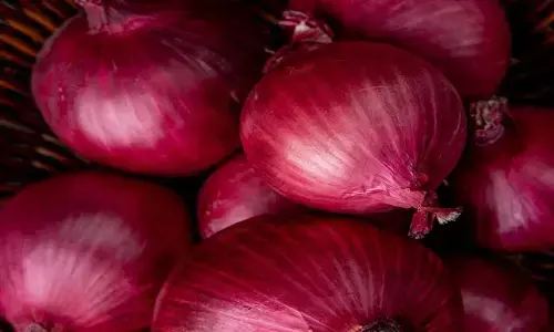 रूस के कृषि उप मंत्री तितोव ने निधि खरे से मुलाकात की, प्याज की उपलब्धता बढ़ाने सक्रिय रूस के कृषि उप मंत्री तितोव ने निधि खरे से मुलाकात की, प्याज की उपलब्धता बढ़ाने सक्रिय