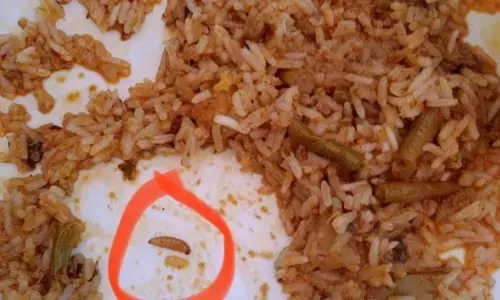 चुनाव कर्मियों को परोसे चावल में निकलीं इल्लियां , लापरवाही आई सामने चुनाव कर्मियों को परोसे चावल में निकलीं इल्लियां , लापरवाही आई सामने