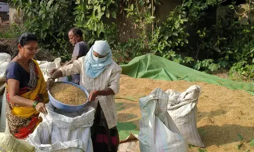 किसानों को राहत, भंडारा जिले में 58 धान खरीदी केंद्रों को मिली मंजूरी