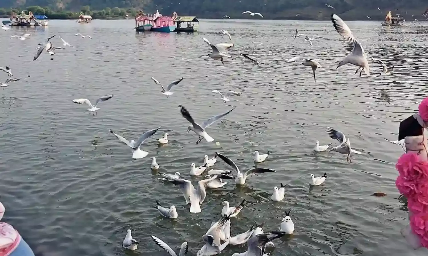 बढ़ने लगी ठंड, पारा 13 डिग्री पर आया