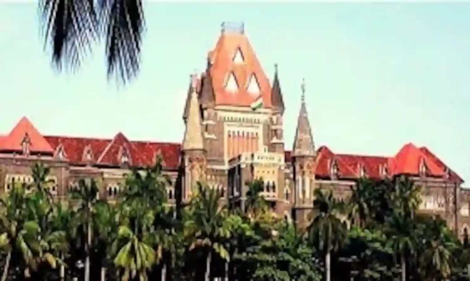 चाचा - भतीजा को 30 दिनों में ठाकर अनुसूचित जनजाति वैधता प्रमाण पत्र प्रदान करने का आदेश