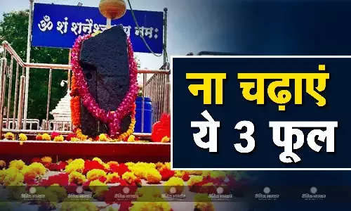 भगवान शनिदेव की पूजा में भूलकर भी नहीं चढ़ाने चाहिए ये फूल, संकटों का करना पड़ सकता है सामना