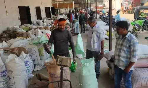 वन विभाग द्वारा बांधवगढ़ में हाथियों की मौत की वजह ‘कोदो’ बताने का बुरा असर