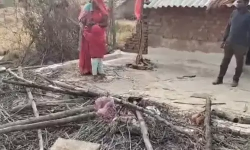 आंगन में रखी धान को हाथियों ने बनाया निवाला आंगन में रखी धान को हाथियों ने बनाया निवाला