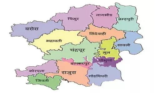 बल्लारपुर - ब्रह्मपुरी की वीआईपी सीट पर टिकीं राज्य की निगाहें, दांव पर दोनों नेताओं की प्रतिष्ठा