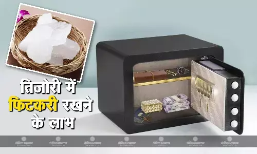 घर में होगी पैसों की बारिश, बस तिजोरी में रख लें ये एक सफेद चीज घर में होगी पैसों की बारिश, बस तिजोरी में रख लें ये एक सफेद चीज