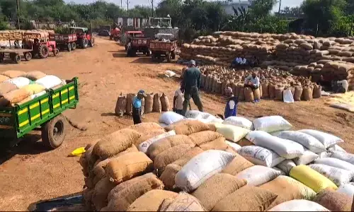 फेडरेशन ने शुरू की धान खरीदी, महामंडल के मुहूर्त का कर रहे इंतजार
