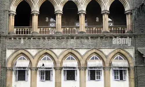 बॉम्बे हाईकोर्ट से ड्रग तस्करी के मुख्य आरोपी को मिली जमानत, एमडी के साथ पकड़ा गया था