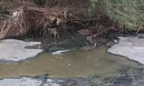 सोन नदी के रूंगटा घाट में मछलियों की मौत, ओपीएम से छोड़े जा रहे पानी की जांच की मांग सोन नदी के रूंगटा घाट में मछलियों की मौत, ओपीएम से छोड़े जा रहे पानी की जांच की मांग