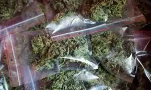 55 किलो गांजे सहित एक गिरफ्तार, सीमा में तलाशी अभियान कर रही पुलिस को सफलता