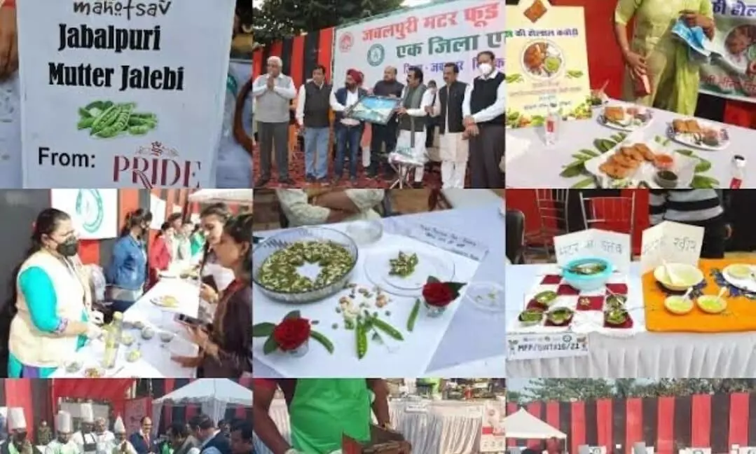 जबलपुर चेम्बर ने की मटर महोत्सव प्रारम्भ करने की अपील जबलपुर चेम्बर ने की मटर महोत्सव प्रारम्भ करने की अपील
