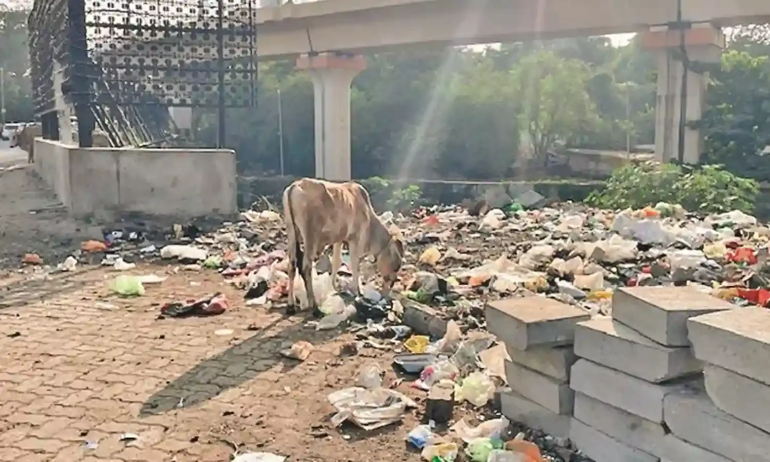 मनपा के मंसूबों पर फिरा पानी, करोड़ों की लागत से हो रहा जाली लगाने का काम