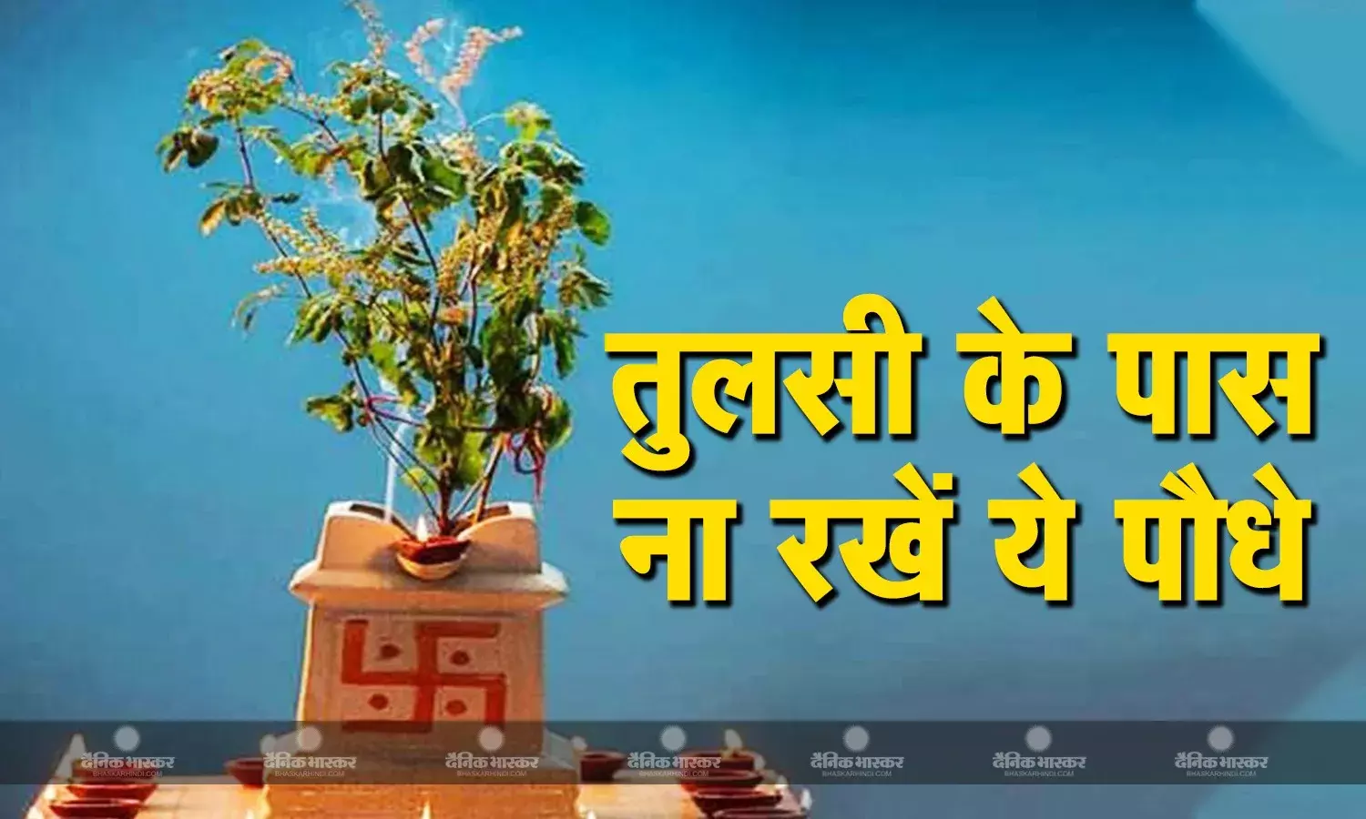 तुलसी के पास भूल से भी ना रखें ये पौधे, वरना घर की सुख-शांति हो जाएगी भंग