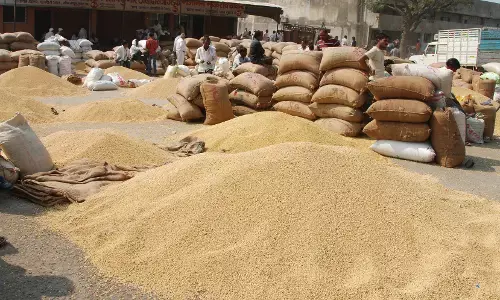 चुनाव हुआ लेकिन अमरावती में 4 हजार पर थमे सोयाबीन के दाम चुनाव हुआ लेकिन अमरावती में 4 हजार पर थमे सोयाबीन के दाम