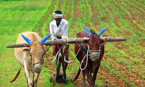 सरकार की दोहरी नीति बनी दमनकारी ,चिंता में घिरे सोयाबीन उत्पादक सरकार की दोहरी नीति बनी दमनकारी ,चिंता में घिरे सोयाबीन उत्पादक