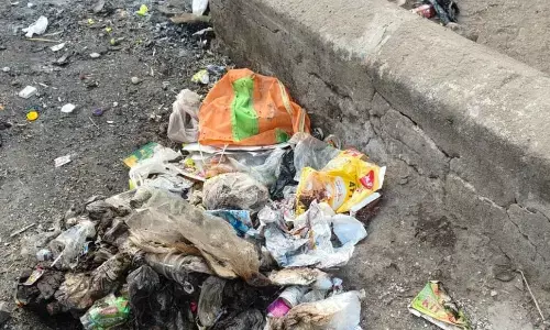 नगर पालिका के 271 पर भारी पड़ रहे आधा सैकड़ा आउटसोर्स सफाई कर्मी