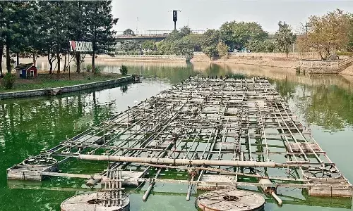 करोड़ों रुपए खर्च करके सँवारा गुलौआ ताल, अब हुआ बदहाल करोड़ों रुपए खर्च करके सँवारा गुलौआ ताल, अब हुआ बदहाल