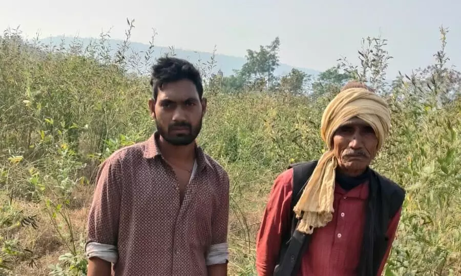 जंगली जानवरों से किसानों की फसलों को हो रहा नुकसान जंगली जानवरों से किसानों की फसलों को हो रहा नुकसान