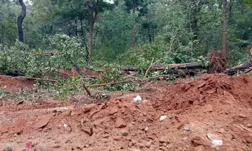 भामरागड़ वनपरिक्षेत्र के दर्भा-दर्भाटोला जंगल परिसर में मुरुम का अवैध उत्खनन