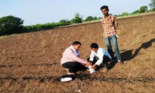 गड़चिरोली के 7 हजार किसानों ने करवाया मिट्‌टी परीक्षण