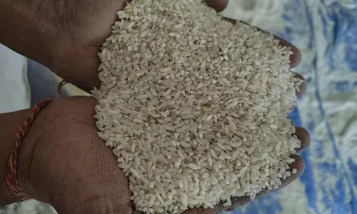 गरीबों को परोसा जा रहा घटिया चावल, टूटन के साथ धूल भरा आटा मिक्स, मजबूरी में ले रहे अनाज