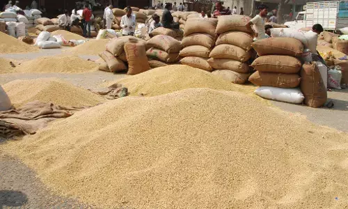 अमरावती कृषि उपज मंडी में 5 दिन में सोयाबीन के दाम 250 रुपए तक घटे अमरावती कृषि उपज मंडी में 5 दिन में सोयाबीन के दाम 250 रुपए तक घटे