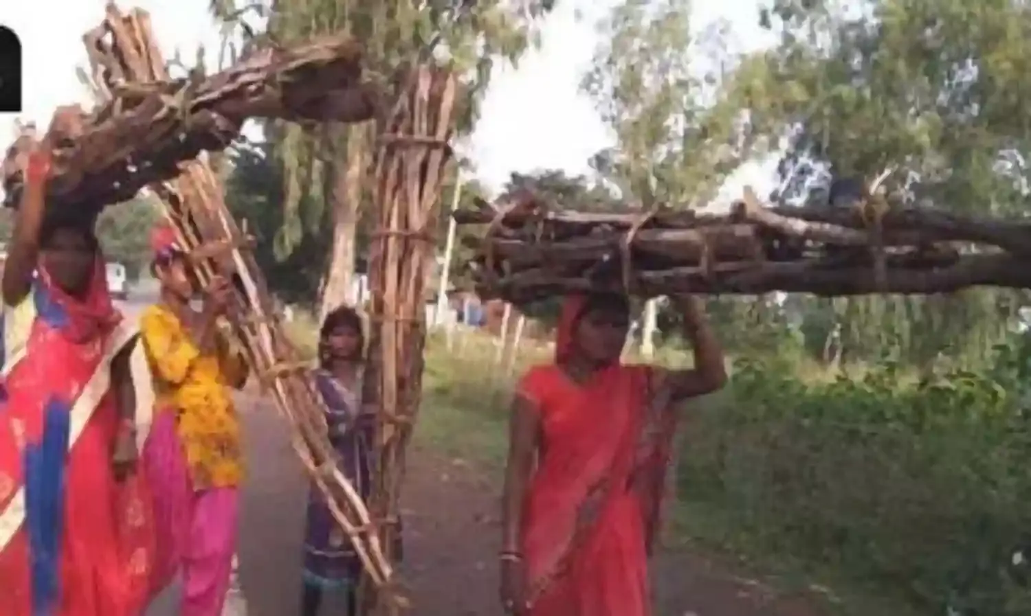 आदिवासी गरीब महिलाओं के साथ शहर में लकड़ी बेंचने आ रहे है मासूम बच्चे