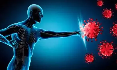 सर्दियों के मौसम में बीमारियों से चाहते हैं बचना, तो इन घरेलू नुस्खों को अपनाकर बढ़ाएं अपनी इम्यूनिटी सर्दियों के मौसम में बीमारियों से चाहते हैं बचना, तो इन घरेलू नुस्खों को अपनाकर बढ़ाएं अपनी इम्यूनिटी