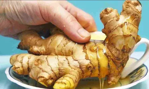 इम्यून सिस्टम को मजबूत बनाने से लेकर जोड़ों के दर्द में राहत तक, भूने हुए अदरक को खाने से होते हैं ये चमत्कारिक फायदे