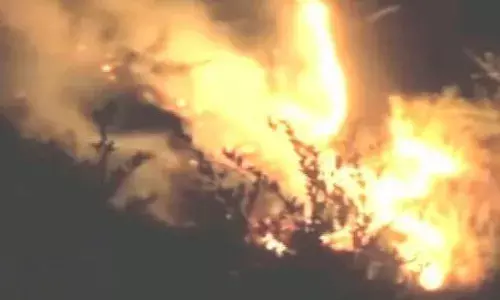 डोडा जिले के जंगल में लगी भीषण आग, रेस्कयू में जुटी वन विभाग की टीम डोडा जिले के जंगल में लगी भीषण आग, रेस्कयू में जुटी वन विभाग की टीम