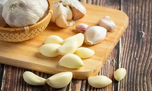 दिल की सेहत में सुधार करने से लेकर रोग प्रतिरोधी क्षमता बढ़ाने तक, कच्चा लहसन खाने से होते हैं कई चमत्कारिक फायदे