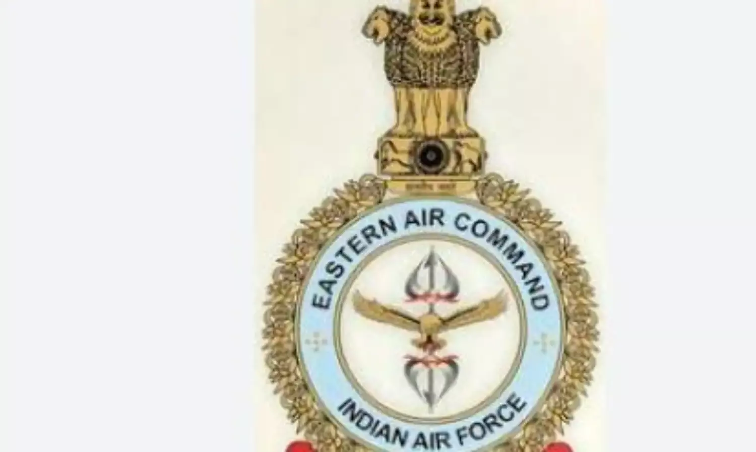 भारतीय वायु सेना चलाया बचाव अभियान , सड़क हादसे में घायल अर्धसैनिक बल के 12 जवानों को बचाया