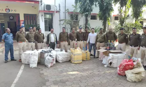 बाड़ी में गांजे का बगीचा... 2 लाख रुपए कीमती गांजे के पौधे जब्त, सिंगोड़ी पुलिस ने दीघावानी में की कार्रवाई
