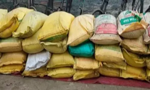 अमरावती में 5 क्विंटल नकली बीज, 98 मीट्रिक टन खाद जब्त अमरावती में 5 क्विंटल नकली बीज, 98 मीट्रिक टन खाद जब्त