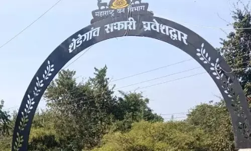 शेडेगांव सफारी गेट होगा शुरू, वन्यजीव संस्थाओं का विरोध जारी