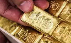 एयरलाइन कर्मचारी समेत दो भाइयों को दुबई से सोने की तस्करी के मामले में नहीं मिली राहत