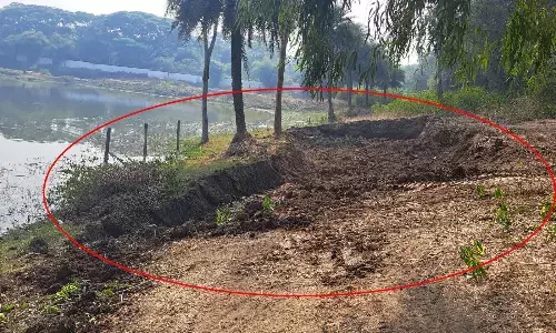 सौंदर्यीकरण के नाम पर खोद दी तालाब की मेढ़ सौंदर्यीकरण के नाम पर खोद दी तालाब की मेढ़