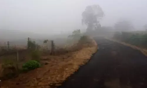 कोहरे में ढंकी तामिया की वादियां, बारिश का दौर जारी रहा, बादलों ने दिन का पारा गिराया, रात का तापमान बढ़ा, न्यूनतम पारा 17 तक पहुंचा कोहरे में ढंकी तामिया की वादियां, बारिश का दौर जारी रहा, बादलों ने दिन का पारा गिराया, रात का तापमान बढ़ा, न्यूनतम पारा 17 तक पहुंचा