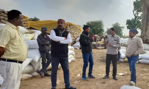 नौसिखियों को सौंपी धान खरीदी की जवाबदारी