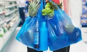 बीएमसी मार्केट में प्लास्टिक थैलियों के इस्तेमाल पर रोक, मिली तो 500 रुपए जुर्माना