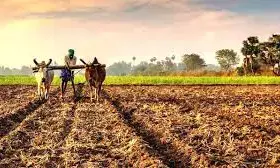 नए साल पर किसानों को तोहफा, 13 सौ 50 रुपए में ही मिलेगी डीएपी की 50 किलो की थैली नए साल पर किसानों को तोहफा, 13 सौ 50 रुपए में ही मिलेगी डीएपी की 50 किलो की थैली