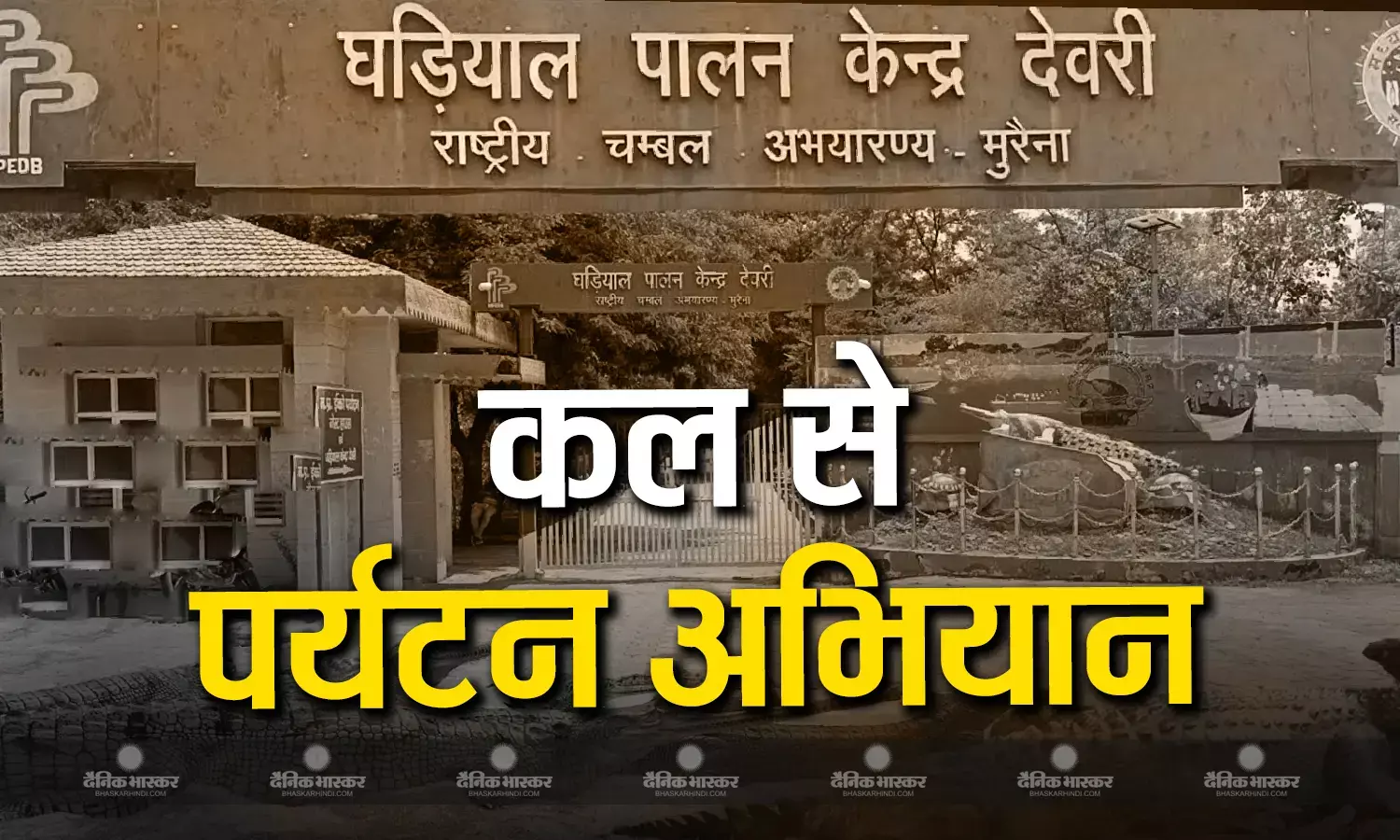 पर्यटकों के आकर्षण का केंद्र बनी चंबल नदी,  दुनिया के 85 फीसदी घड़ियाल