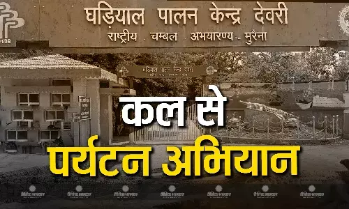 पर्यटकों के आकर्षण का केंद्र बनी चंबल नदी,  दुनिया के 85 फीसदी घड़ियाल