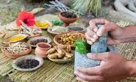 भारत में आयुर्वेदिक क्लीनिक खोलेगी कनाडा की कंपनी वैस्ट आयुर्वेदा, आयोजित होगा आयुर्कोन भारत में आयुर्वेदिक क्लीनिक खोलेगी कनाडा की कंपनी वैस्ट आयुर्वेदा, आयोजित होगा आयुर्कोन