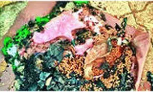 आंगनवाड़ी सेविका ने जलाया पोषण आहार , तनावपूर्ण माहौल