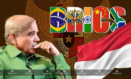 पाकिस्तान की मंशा पर फिरा पानी, दुनिया का सबसे बड़ा मुस्लिम मुल्क बना ब्रिक्स समूह का मेंबर