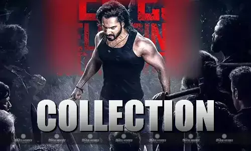 बॉक्स ऑफिस पर फिल्म बेबी जॉन का जल्द होने वाला है पैकअप, लाख रुपये कमाने के लिए तरस रही फिल्म, 14वें दिन का कलेक्शन शॉकिंग